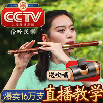 Professional bamboo flute Childrens beginner zero-based introduction flute instrument E refined performance F tune Ancient style female love piccolo