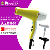  Huozhifeng 8960 hair dryer old barber shop hair dryer hair dryer high-power hot and cold air 2200W