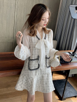 2021 early autumn new net red high cold Imperial sister mature temperament skirt light mature style womens style fashion dress