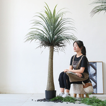 Roman Mother Nordic Wind Emulation Green Plant Coarse Rod Dragon Blood Tree Potted Large Plant Living Room Floor Pendulum decoration