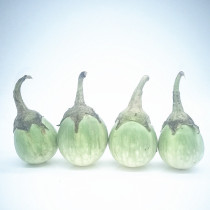 3 pounds of Thai imported round eggplant Big round EGGPLANT Thai EGGPLANT Green curry ingredients Small EGGPLANT 500G