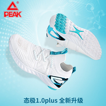 Pike state Pole 1 0PLUS running shoes 2022 Summer mesh Breathable Running Shoes Damping Tai Chi Sports Shoes Man