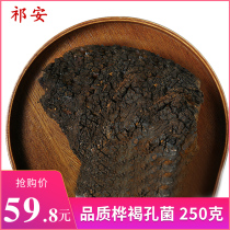 Birch Birch Birch betulin Brown fungus Birch tears Changbai Mountain non-500g1kg non-Russian imports