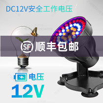 Koi fish pond diving led underwater light underwater light colorful spotlight fish pond pool fountain landscape swimming pool light