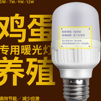 Laying hen lamp chicken farm lighting special LED lamp animal husbandry energy-saving bulb warm light waterproof screw new product