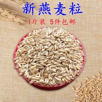 Oat rice bird food bird food bird wheat wild wheat oat kernel Budgerigar sun peony 5 kg