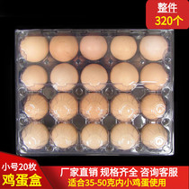 Small number 20 Soil Eggs Packaging Box Beginner Egg plastic transparent Disposable Gift Box Inner Tray
