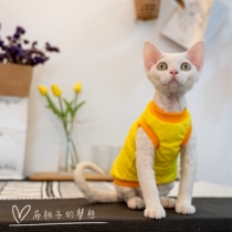  GINGERAIN GERMAN CAT CLOTHES hairless cat Koenig Tianzhu cotton cotton thin vest