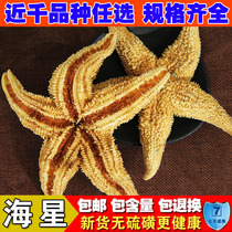 Chinese herbal medicine Thorn sea star Sea five star Sea car starfish dry goods 500g soup wine wine