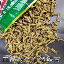 Selection of Zhengzongho Mountain Dendrobium Dendrobium Multi-Slag Tap Fengwei High Quality Dendrobium dendrobium Grain Maple Hopper