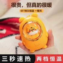 2022 The new cute tiger warmer baby charging baby two-in-one spontaneous fever girl holding a hot water bag ub mini portable explosion-proof student cute warm palace artifact warmer baby girl gift