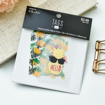 Judy handmade transparent bronzing small fresh TAG hand account material junkjournal partner 8 pieces