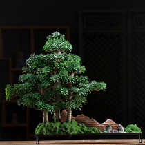 Xiangsheng new Chinese simulation welcome pine bonsai home living room porch soft green plant model room ceramic ornaments