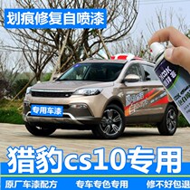 Cheetah cs10 Tonic Lacquer Pen Dubai Gold Car Scratcher Repair Gods Venice Blue New York Black Venice Blue