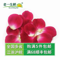 (Old one fresh) fresh edible flowers roses red petals about 10g plate decoration