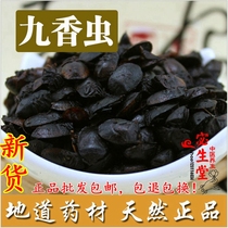 Wild fried nine-spice insects Chinese herbal medicine high-quality water small nine-spice insects fart insects 250g fresh nine-spice insects