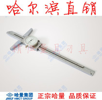 Hajkha quantity with table depth card ruler 200300 * 0 02mm quality assurance