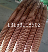 Copper-coated steel strand lightning protection ground wire lightning grounding wire plated steel strand 120mm2 copper-coated steel strand