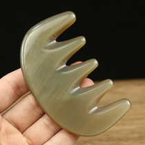 The five teeth comb of the horn