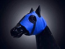 попона Лошади покрова шоры производителей продавать