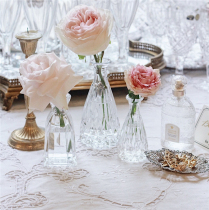 Light luxury home vintage transparent glass t striped LACESHABBY fresh original flower arrangement hydroponic vase