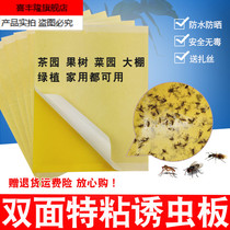 Stickworm board yellow board double-sided plant catch insect board paste aphids Xiaofei black insect mosquitoes blue board thrips fruit fly greenhouse