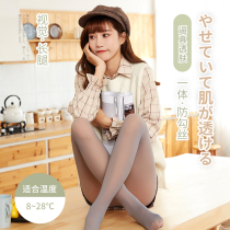 Fake flesh-permeable pantyhose light leg socks womens spring and autumn thin outer wear stewardess gray skin-permeable all-in-one pants true skin-permeable leggings