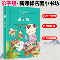 Self-selected 4 books 26) with pinyin disciples rules color picture phonetic version of Chinese learning Enlightenment book New curriculum standard masterpiece small bookstore 6-8-10 years old grade one two and three grade primary school students young childrens literature classics extracurricular reading famous teacher