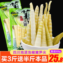 xiang la prodigy sun jian pickled bamboo shoots shan jiao crisp bamboo shoots sour flavor bamboo shoot snacks small kai dai ji shi sun si 500g