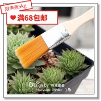  Flower edge pickles*Brush Succulents cleaning tools Cleaning brush Dust removal brush Brush