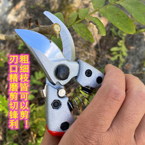 Zokugawa Athleta Taiwan Original Imported Steel Pruned Prunes CUT COARSE BRANCHES sk5 DOUBLE EDGE LABOR-SAVING FRUIT TREE PRUNES Prunes