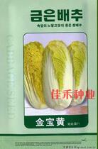 Baby cabbage seed seeds yellow heart cabbage heat-resistant cold-resistant early-maturing balcony potted in spring and autumn sowing vegetables