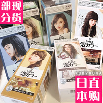 Japanese native flower King new color PRETTIA bubble hair cream-foam hair dye