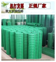 Steel wire mesh Chicken farm fence mesh dog iron fence thickened plastic coated barbed wire Green fence Pond rural area