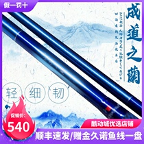 The blue orchid of the seashore is also followed by the fire of the rod and the fire of the 18-foot long section.