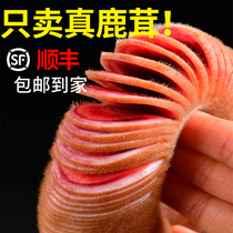 SF Cold Chain Deer Mushroom Whole Slice of Deer Mushroom Fresh Slice of Deer Mushroom Blood Slice of Deer Mushroom Bloom Ingredients Plum Blossom Deer Mushroom