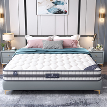 Latex 22CM mattress 1 8 m hotel independent spring Simmons coconut 1 5 m home coconut spring mattress