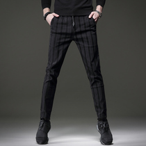 Rich Gui Bird Spring Autumn Casual Pants Male Black Striped Tide Tightness Waist Pants Han Version Sashimi elastic small foot straight drum pants