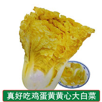 Egg yolk cabbage seeds autumn yellow heart Big White rapeseed Four Seasons fast rapeseed delicious disease-resistant high-yield vegetable seeds