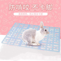 Pet rabbit footbed guinea pig Dutch pig dragon cat anti-biting base plate rabbit cage pedal bottom plate