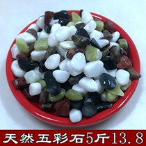 Natural multicolored stone fleshy paving hydroponic fish tank Small white stone carmine black stone Green jade pebbles