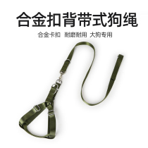 Big dog with iron buckle tie strap gold Mulla Brazil Large Dog Pet Supplies