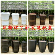 High-grade green radish fa cai shu happy tree san wei kui king-size living room pot ceramic living room large flowerpot