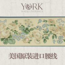 American Import Wall Paper Waist Line Bedroom Living Room American Fields Garden Hand Painted Flowers Personality background Decorative Wallpaper Waist Line