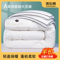 Soybean fiber quilt winter quilt quilt core thickened warm spring and autumn too air-conditioned quilt single student dormitory special