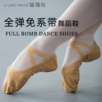Adult Dance Shoes Soft-bottom Exercises Cat Paw Dancing Special Body Yoga Summer Folk Ballet Shoes Art shoes