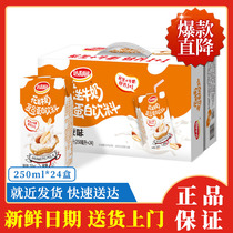 Daliyuan peanut milk compound protein beverage 24 boxes of new and old packaging randomly shipped 4 pieces# 7BXB#