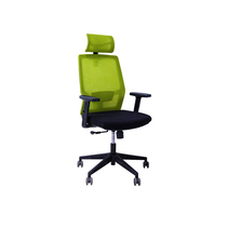 paiger computer chair ergonomic office chair liftable seat Conference chair Green supervisor