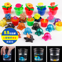 Water absorption expansion and growth simulation plant animal model bubble water growth hatching stalls new strange small toy supply