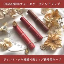 Japanese CEZANNE Qianli Spring New Product Water Moisture Clear Lip Glaze Color Moisturizing Long-lasting 03 Cinnamon Milk Tea